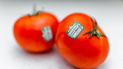 Naples, USA - January 26, 2022: Raw red vine tomatoes fruit vegetables macro closeup with two pieces and stickers for organic fair trade certified by Wholesum brand; Shutterstock ID 2263627703