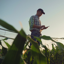 Young farmer working in a cornfield, inspecting and tuning irrigation center pivot sprinkler system on smartphone.; Shutterstock ID 1429439135